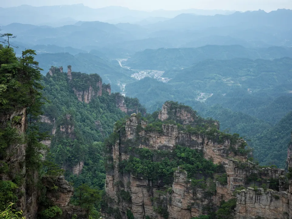 Piliers de grès et vallées étagées dans le parc national de Zhangjiajie